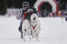 Lenzerheide 2013